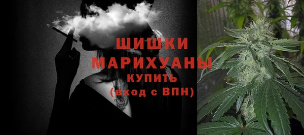 PSILOCYBIN Вяземский