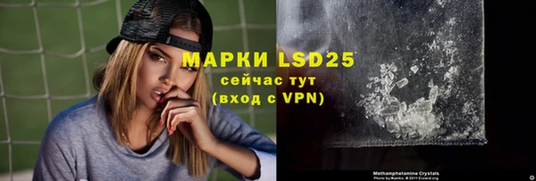 PSILOCYBIN Вяземский