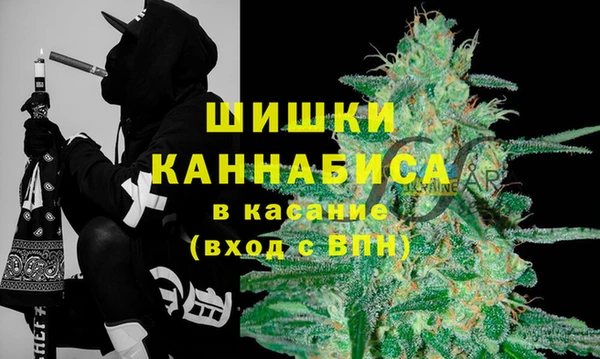 PSILOCYBIN Вяземский