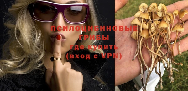 МДПВ Горняк
