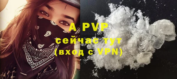 PSILOCYBIN Вяземский