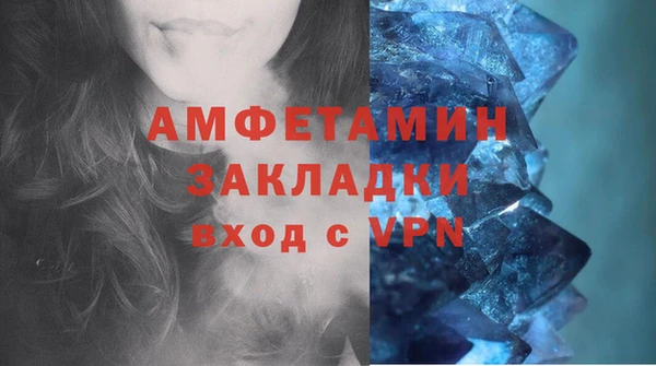 PSILOCYBIN Вяземский