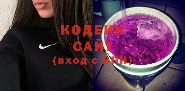 PSILOCYBIN Вяземский