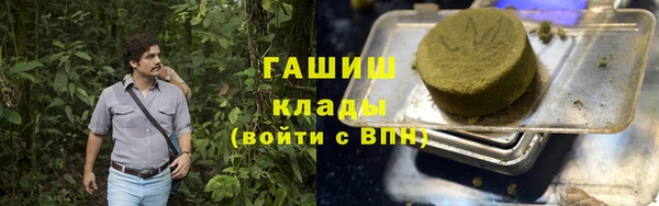 PSILOCYBIN Вяземский