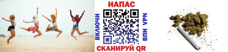 где продают наркотики  Заводоуковск  Марихуана Bruce Banner 